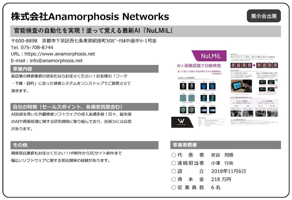 Anamorphosis Networks