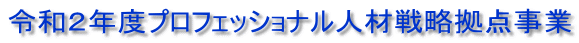 令和２年度プロフェッショナル人材戦略拠点事業